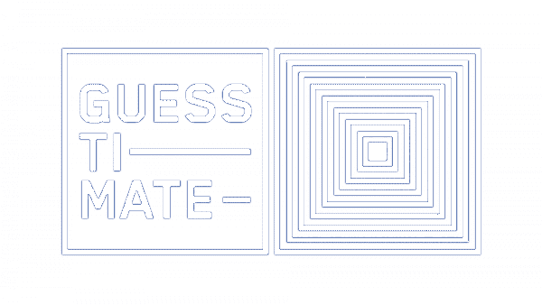 Guesstimate